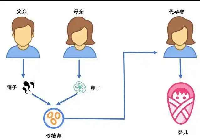 6个代孕流程,代孕知道心中有数