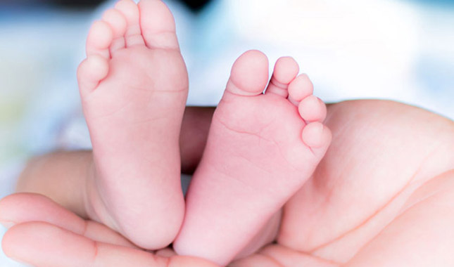 肯尼亚代孕多少钱